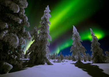 Kuzey Işıkları - Karla kaplı ormanın üzerinde Aurora borealis. Aurora Borealis 'in, Aurora Polaris' in, gece gökyüzündeki Kuzey Işıkları olarak da bilinen muazzam yeşil renkli güzel bir resmi.