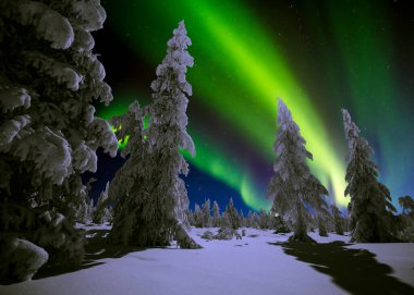 Kuzey Işıkları - Karla kaplı ormanın üzerinde Aurora borealis. Aurora Borealis 'in, Aurora Polaris' in, gece gökyüzündeki Kuzey Işıkları olarak da bilinen muazzam yeşil renkli güzel bir resmi.