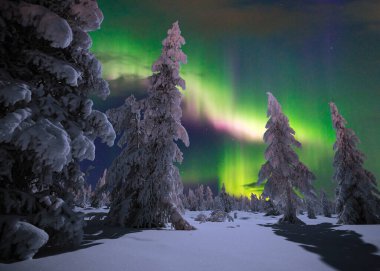 Kuzey Işıkları - Karla kaplı ormanın üzerinde Aurora borealis. Aurora Borealis 'in, Aurora Polaris' in, gece gökyüzündeki Kuzey Işıkları olarak da bilinen muazzam yeşil renkli güzel bir resmi.