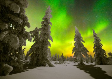 Kuzey Işıkları - Karla kaplı ormanın üzerinde Aurora borealis. Aurora Borealis 'in, Aurora Polaris' in, gece gökyüzündeki Kuzey Işıkları olarak da bilinen muazzam yeşil renkli güzel bir resmi.