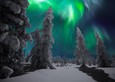 Kuzey Işıkları - Karla kaplı ormanın üzerinde Aurora borealis. Aurora Borealis 'in, Aurora Polaris' in, gece gökyüzündeki Kuzey Işıkları olarak da bilinen muazzam yeşil renkli güzel bir resmi.