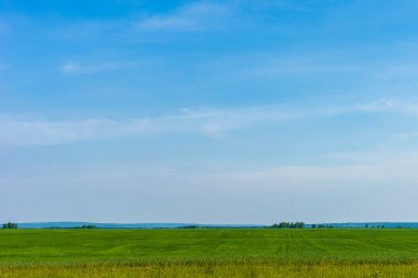 Güzel yaz manzarası. Mavi gökyüzünün altında beyaz kabarık bulutlu ormanlar ve tarlalar. Sıcak bir yaz günü. Yaz ormanında bir patika
