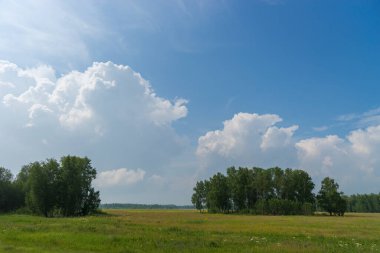 Güzel yaz manzarası. Mavi gökyüzünün altında beyaz kabarık bulutlu ormanlar ve tarlalar. Sıcak bir yaz günü. Yaz ormanında bir patika