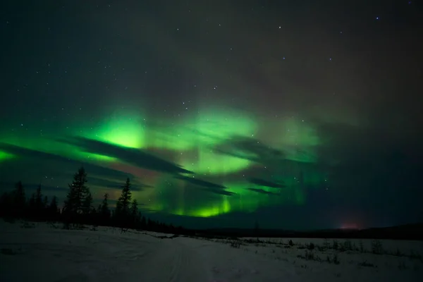 Northern Lights Aurora Boreal Sobre Floresta Coberta Neve Imagem Bonita — Fotografia de Stock