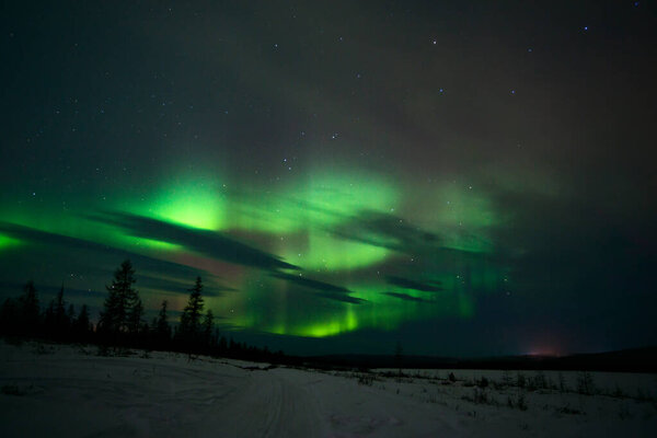Northern Lights - Aurora borealis over snow-covered forest. Beautiful picture of massive multicoloured green vibrant Aurora Borealis, Aurora Polaris, also know as Northern Lights in the night sky