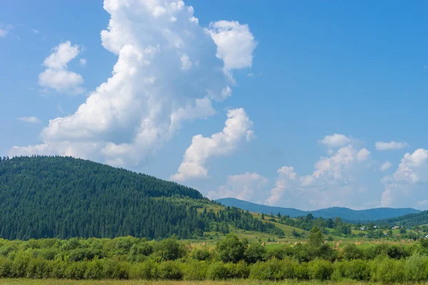 Чудовий Літній Сільський Краєвид Сіном Відкритий Вид Літня Ідилія Блакитне — стокове фото