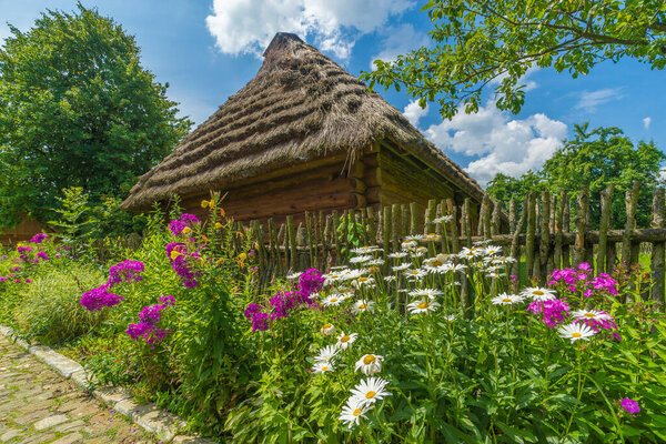 Traditional village house with blue sky, green grass, fence and trees. Ukraine.