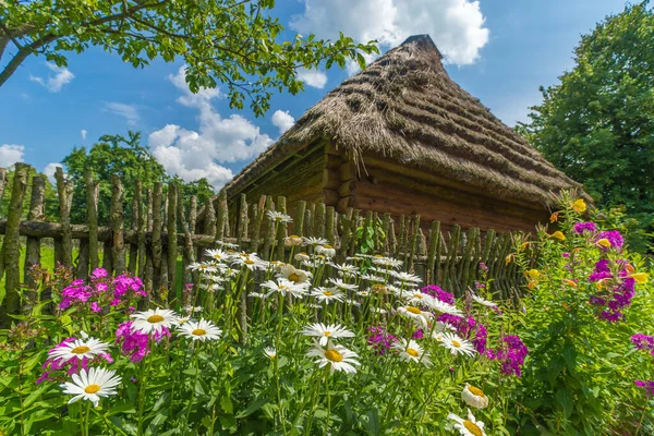 Traditionelles Dorfhaus Mit Blauem Himmel Grünem Gras Zaun Und Bäumen — Stockfoto