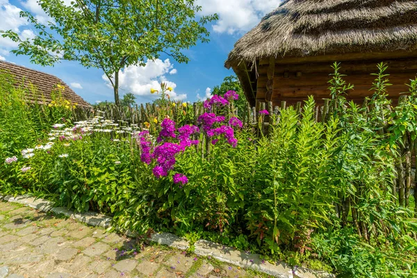 Traditionelles Dorfhaus Mit Blauem Himmel Grünem Gras Zaun Und Bäumen — Stockfoto