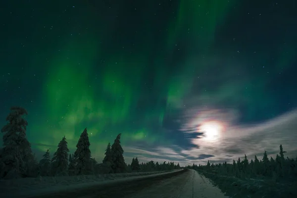 Northern Lights Aurora Boreal Sobre Bosque Cubierto Nieve Hermosa Imagen —  Fotos de Stock