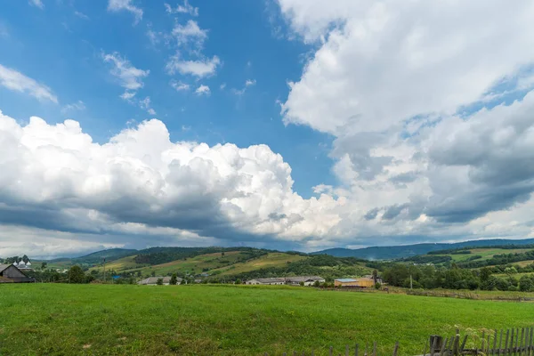 Schöne Sommerlandschaft Wälder Und Wildblumen Unter Blauem Himmel Mit Weißen — Stockfoto