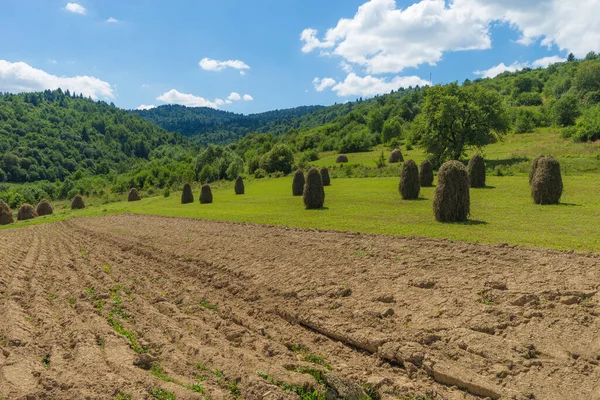 Beautiful summer rural landscape with a haystack. open view. summer idyll. blue sky and green grass. hills and mountains. art rural landscape. field and grass. summer time in country side. Green fields and farmlands. Europe