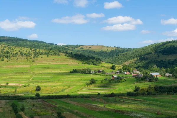 Schöne Ländliche Sommerlandschaft Freie Sicht Sommeridylle Blauer Himmel Und Grünes — Stockfoto