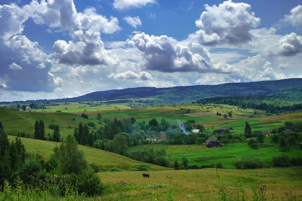 Schöne Sommerlandschaft Wälder Und Felder Unter Blauem Himmel Mit Weißen — Stockfoto