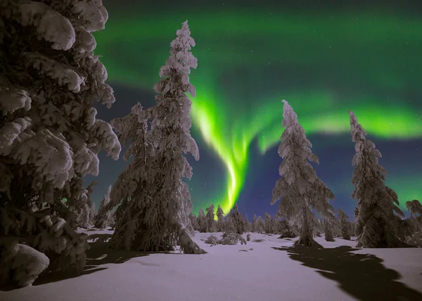 Északi Fények Aurora Borealis Hófödte Erdő Felett Gyönyörű Kép Hatalmas — Stock Fotó