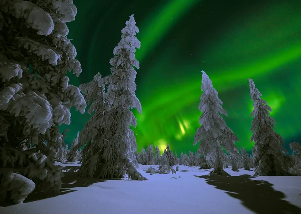 Northern Lights - Aurora borealis over snow-covered forest. Beautiful picture of massive multicoloured green vibrant Aurora Borealis, Aurora Polaris, also know as Northern Lights in the night sky