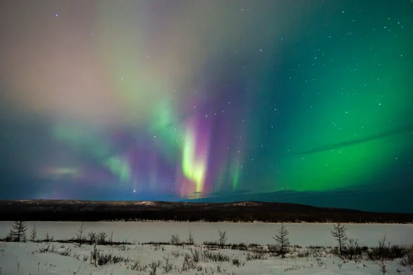 Winternächtliche Landschaft Mit Wäldern Und Polarlichtern Nordlichter Kanada Wald Und Stockbild