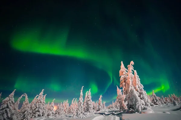 Northern Lights Aurora Boreal Sobre Bosque Cubierto Nieve Hermosa Imagen Imágenes de stock libres de derechos