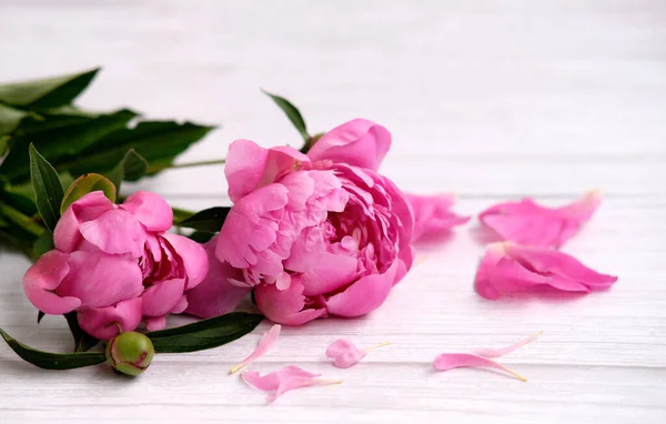 Un ramo de flores y pétalos de peonías rosadas sobre un fondo de madera clara — Foto de Stock