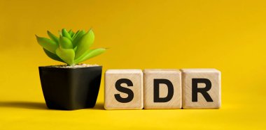 SDR - sarı arka planda iş dünyası finansal konsepti. Tahta küpler ve saksıda çiçek.