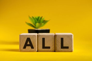 Hepsi - parlak bir arka planda tahta küplerle ilgili kavramsal metin ve arkasında çiçek olan siyah bir kap