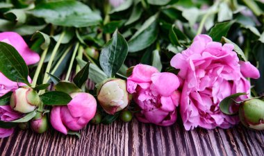 Bir buket pembe şakayık koyu ahşap arka planda çiçek