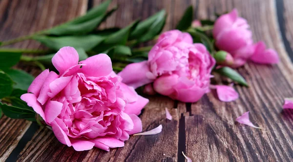 Ramo Peonías Rosadas Sobre Fondo Madera Oscura Flor — Foto de Stock
