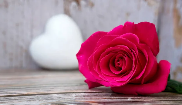 Ahşap bir arka planda pembe kırmızı gül goncası ve beyaz kalp