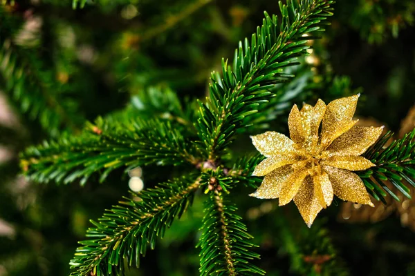 Weihnachtsbaum Immergrüner Weihnachtsbaum Mit Dekorativem Spielzeug — Stockfoto