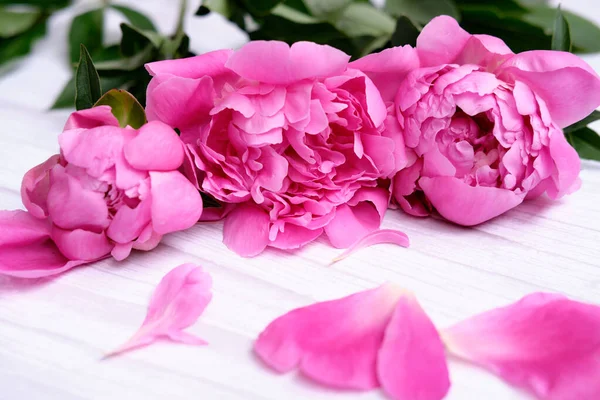 Bouquet Pink Flower Peonies Petals Light Wooden Background — Stock Photo, Image