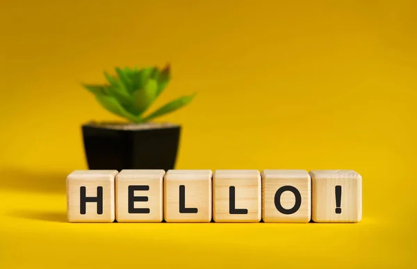 Hello Concepto Sobre Fondo Amarillo Cubos Madera Flor Una Maceta — Foto de Stock