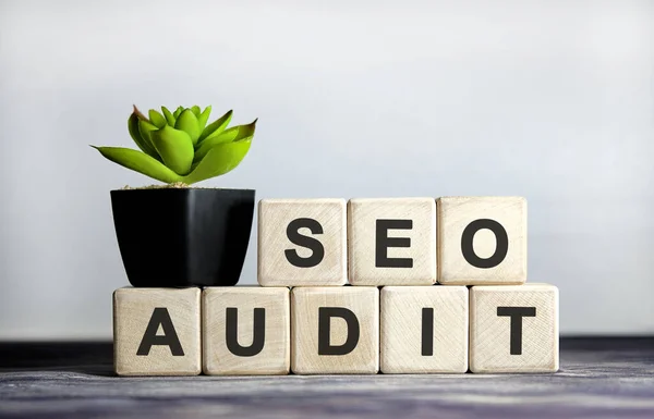 Seo denetim linki - tahtadan bir arka plan, küpler ve saksıdaki çiçek kavramı.