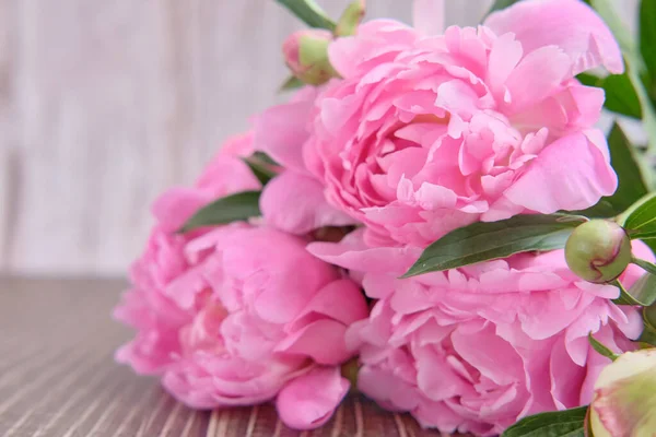 Close Pink Peony Buds Foliage — Stock Photo, Image