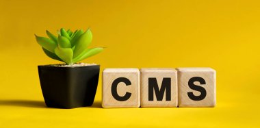 CMS - sarı arka planda iş kavramı. Tahta küpler ve saksıda çiçek.