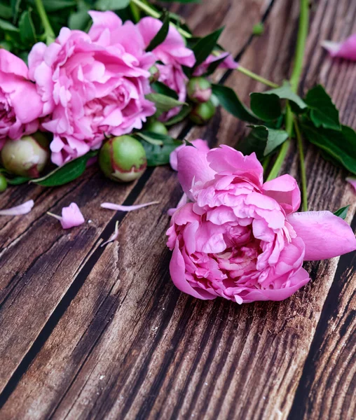 Bouquet Pink Peonies Petals Dark Wooden Background — Stock Photo, Image