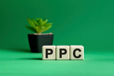 PPC - yeşil arka planda konsept. Tahta küpler ve saksıda çiçek.