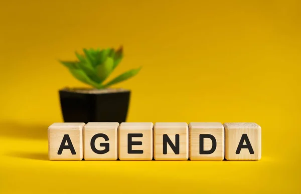Agenda 黄色を背景にしたビジネス財務の概念 鍋に木のキューブと花 — ストック写真