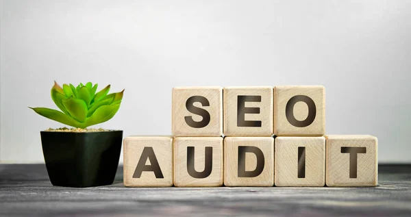 Seo Denetim - Ahşap bir arka plan, küpler ve saksıda çiçek iş konsepti.