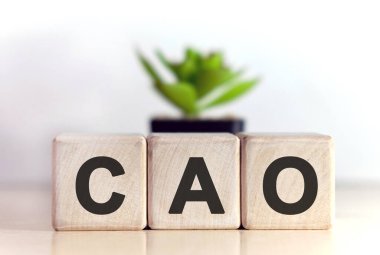 Ahşap küplerle ilgili CAO kavramı ve arka plandaki saksıda çiçek.