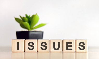 ISSuES - ahşap küplerle ilgili metin ve arka plandaki saksıda çiçek