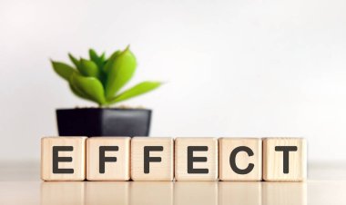 EFFECT - beyaz arka planda tıbbi konsept. Tahta küpler ve saksıda çiçek.