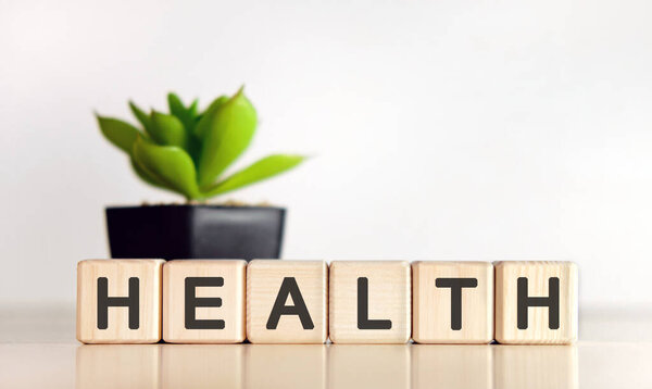 ЗДОРОВЬЕ - медицинское понятие на белом фоне. Деревянные кубики и цветок в горшке.
