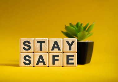 KALA SAFE - ahşap küplerle ilgili metin, sarı arkaplanda siyah saksıda yeşil bitki