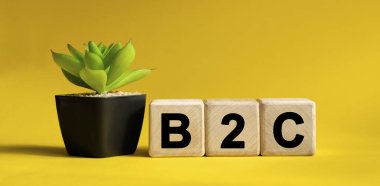 B2C - sarı arka planda iş dünyası finansal konsepti. Tahta küpler ve saksıda çiçek.