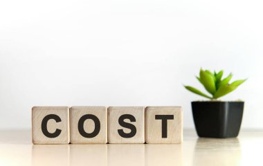 Maliyet - finansal konsept. Tahta küpler ve saksıda çiçek.