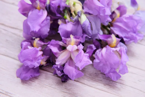 一束紫色虹膜花中收集的花束 — 图库照片
