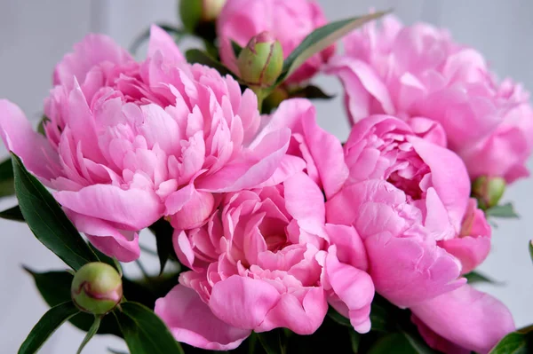 Bouquet Pink Crimson Peonies Lie Close Wooden Table — Stock Photo, Image