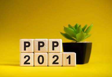 PPP - sarı arka planda iş dünyası finansal konsepti. Tahta küpler ve saksıda çiçek.
