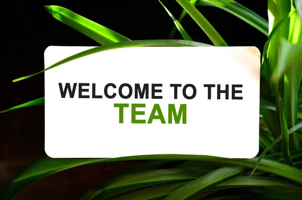 Welcome to the team text on white surrounded by green leaves