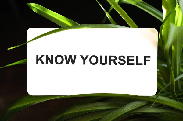 KNOW YOURSELF text on white surrounded by green leaves